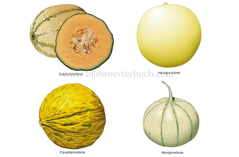 melons image