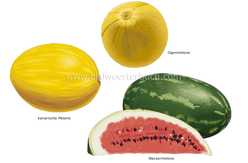 melons image