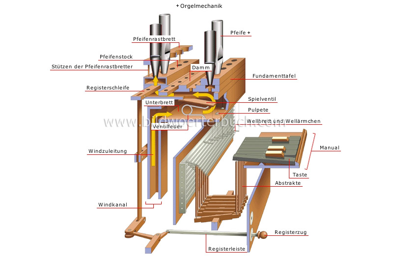 Orgel Bild