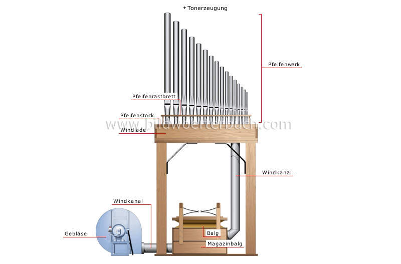 Orgel Bild