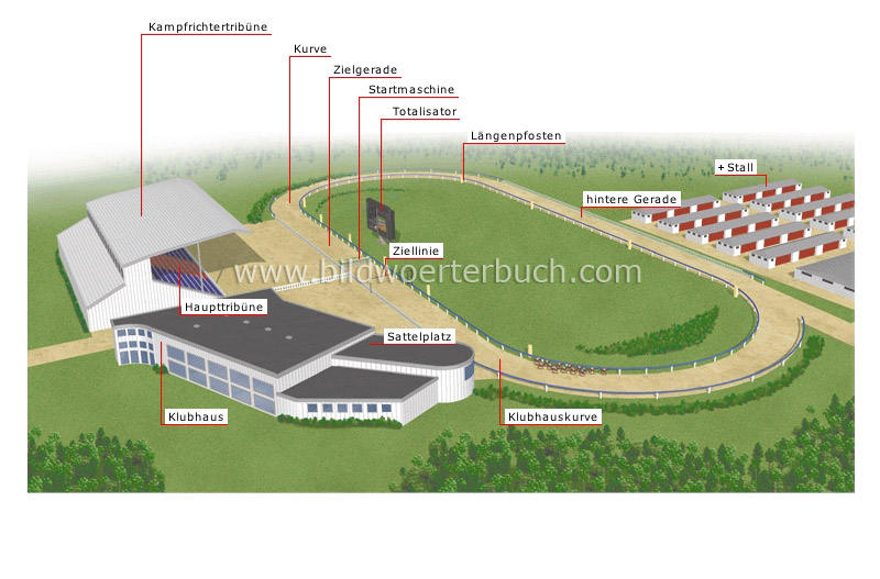 Pferderennbahn Bild