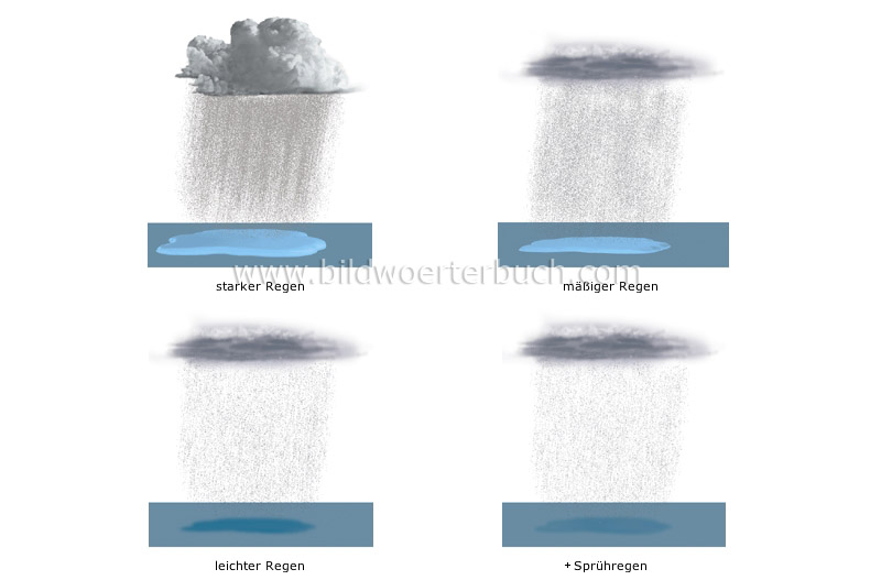 rain forms image