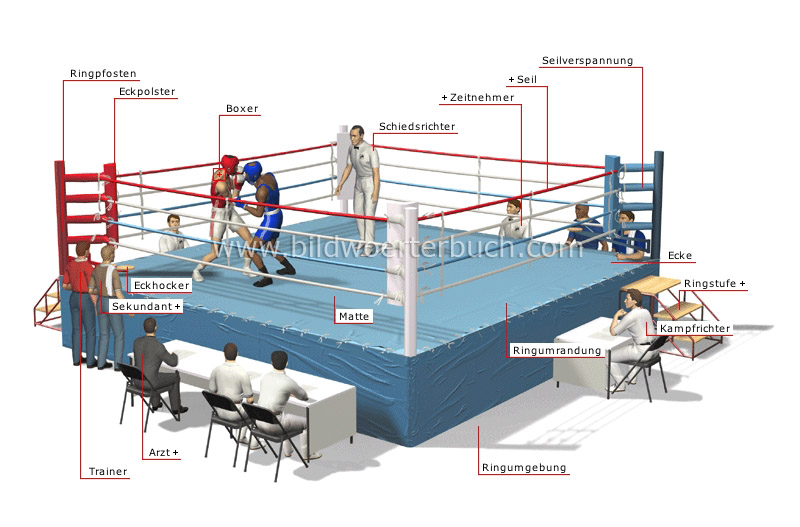 Ring Bild