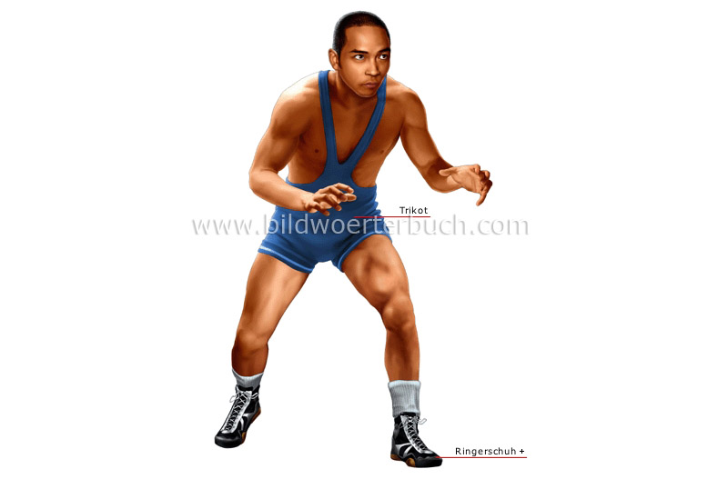 wrestler image