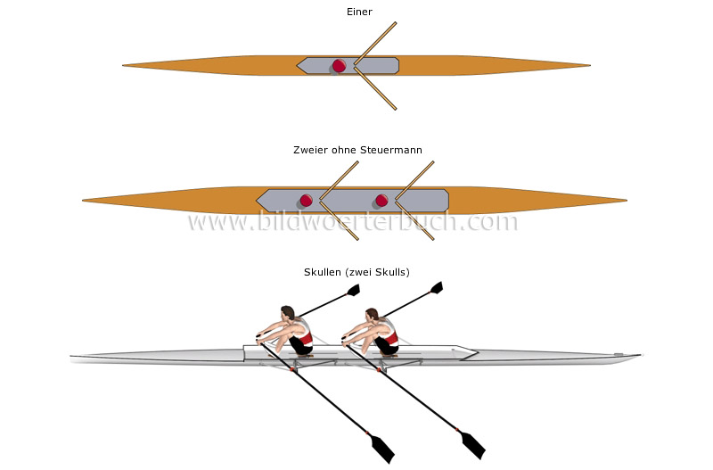 sculling boats image