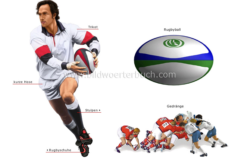 rugby player image