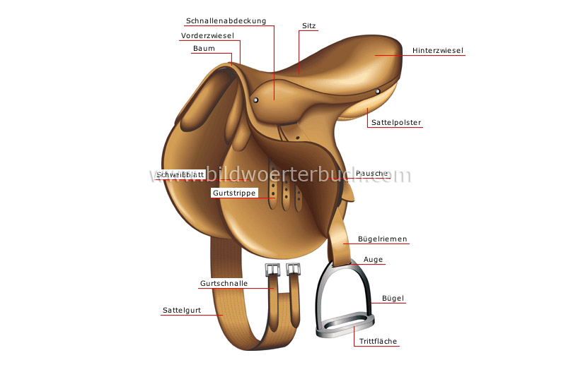 saddle image