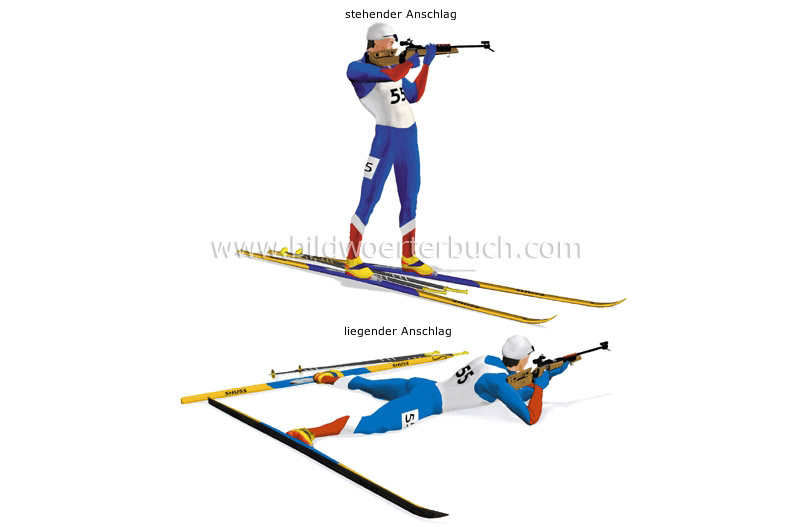 shooting positions image