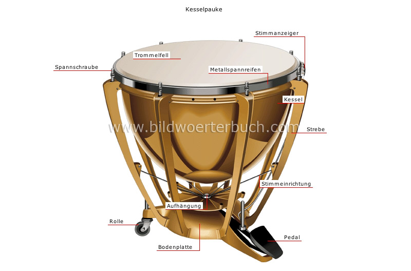 percussion instruments image