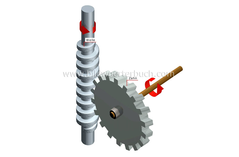 worm gear image