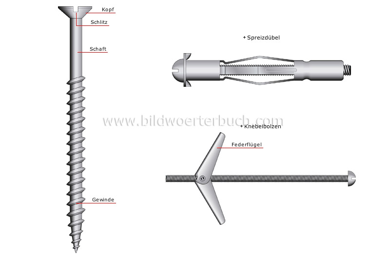 screw image