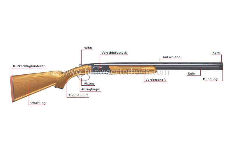 shotgun (smooth-bore) image