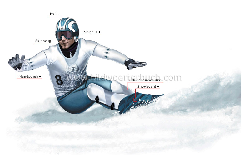 Snowboarder Bild