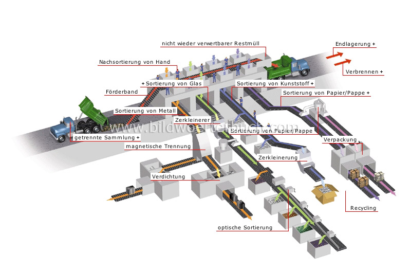 sorting plant image