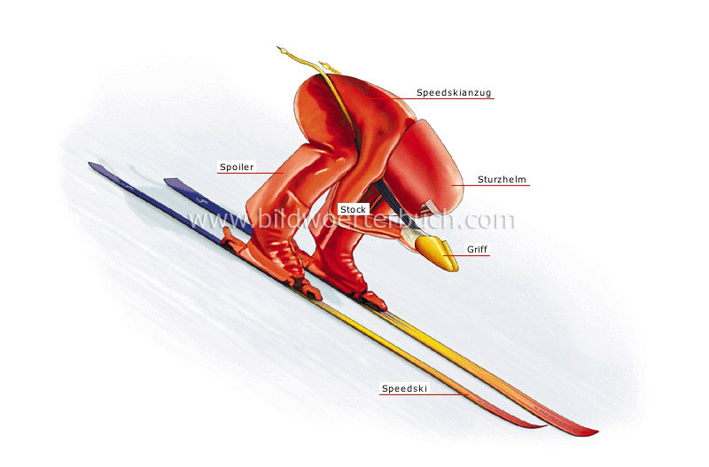 speed skier image