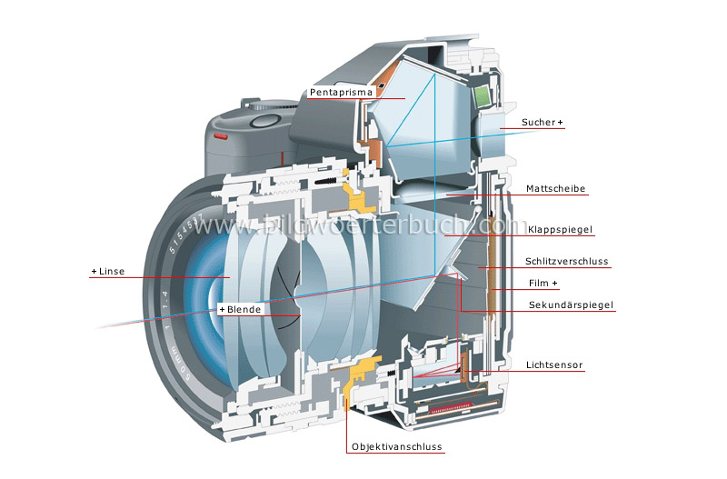 cross section of a reflex camera image