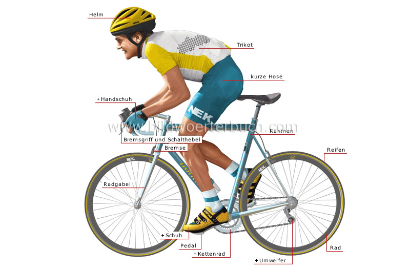 Straßenrennrad und Fahrer Bild