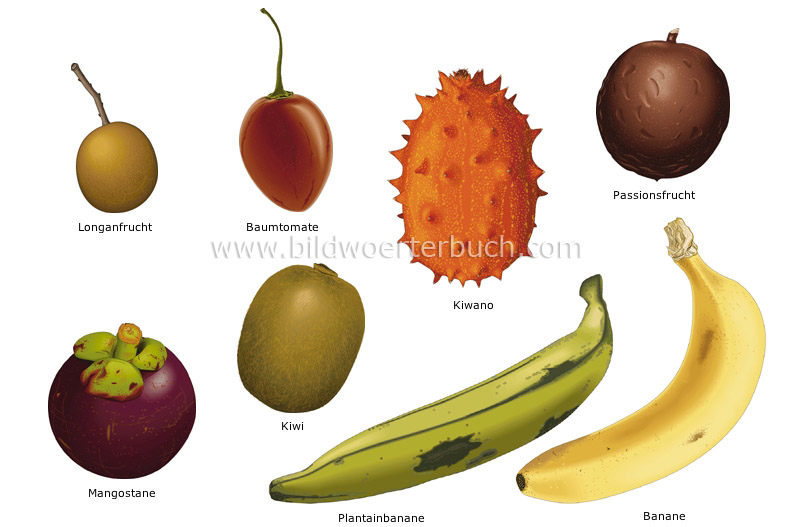 tropical fruits image