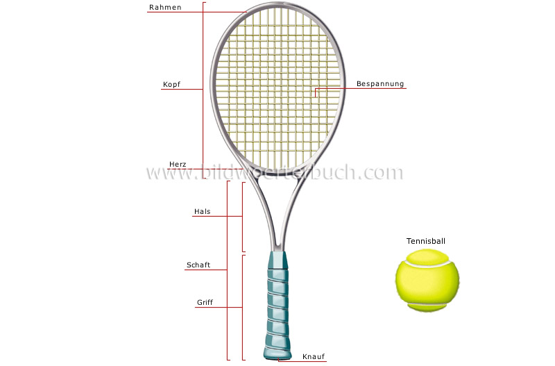 tennis racket image