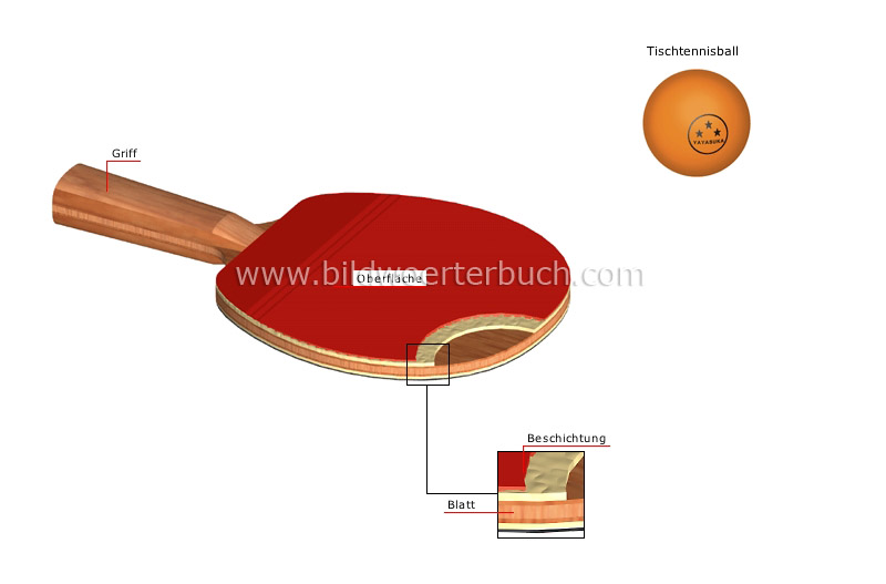 Tischtennisschläger Bild