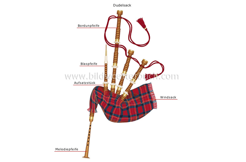 traditional musical instruments image