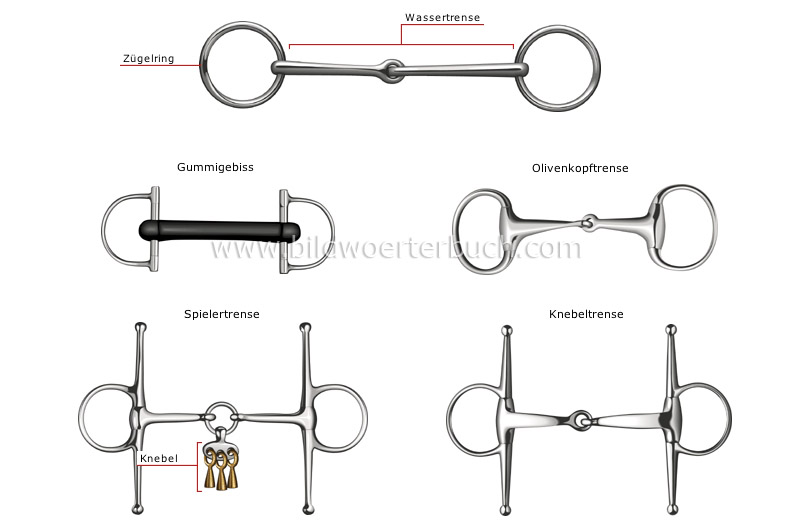 snaffle bit image