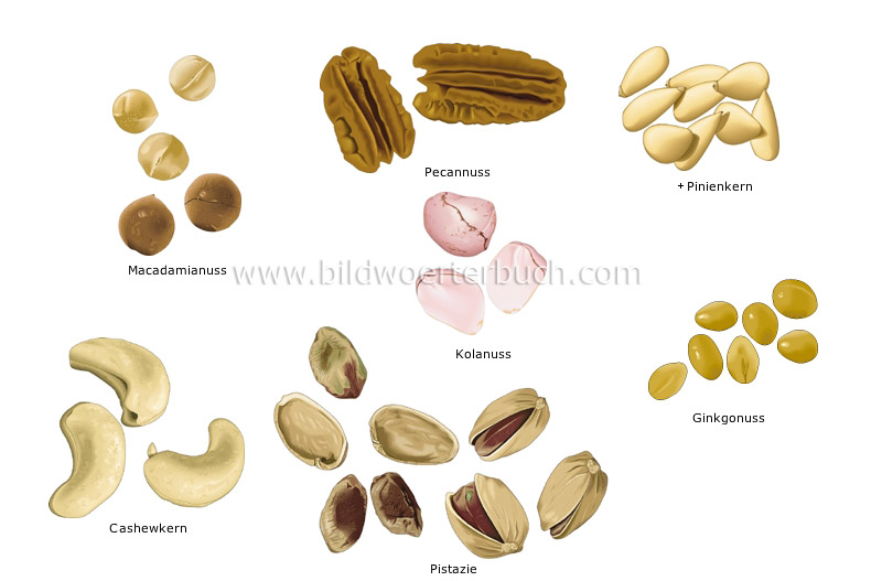 dry fruits image