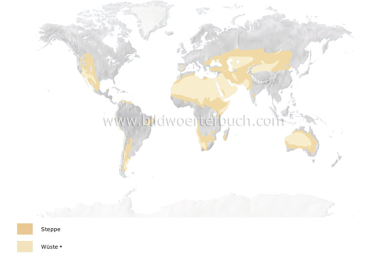 Trockenklimate Bild