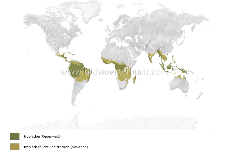 tropical climates image