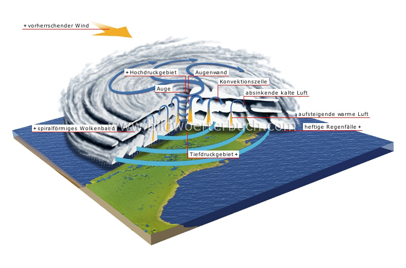 tropical cyclone image