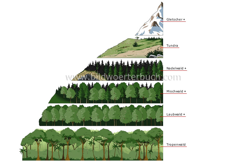elevation zones and vegetation image