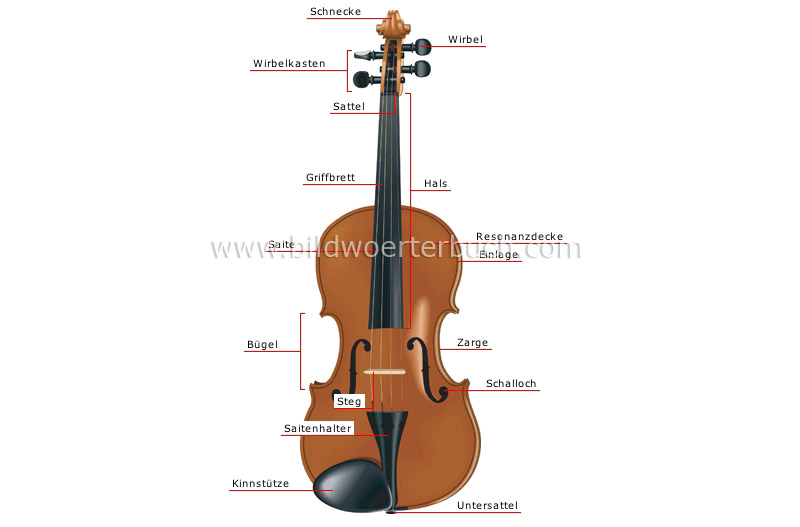 violin image