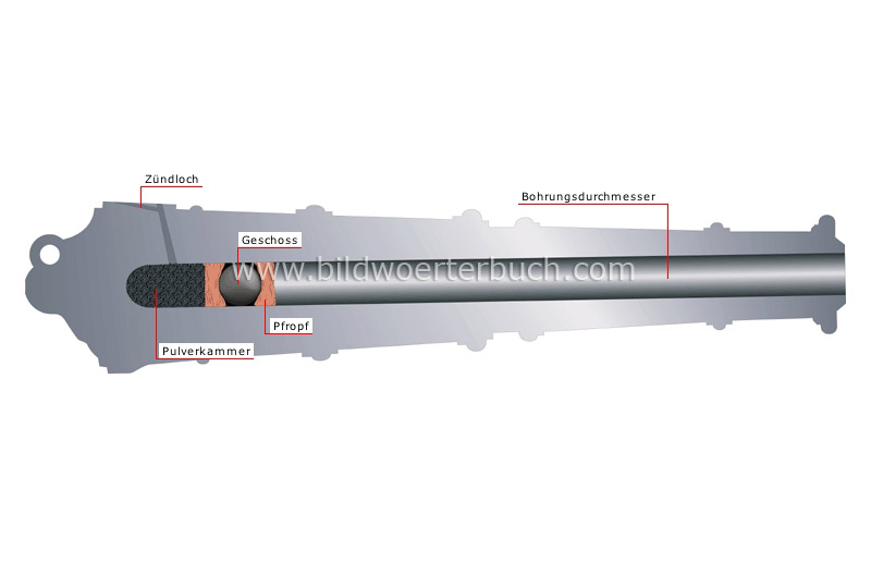 Vorderlade-Geschütz im Querschnitt Bild