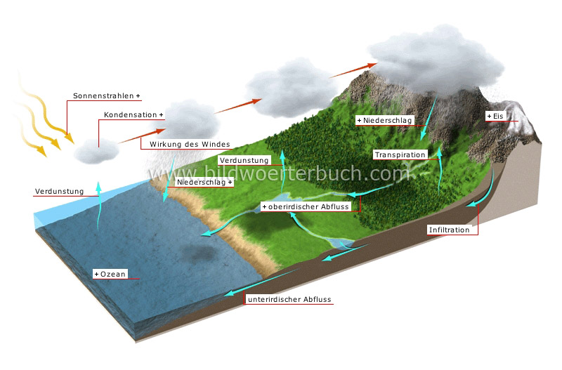 Wasserkreislauf - Bildwörterbuch