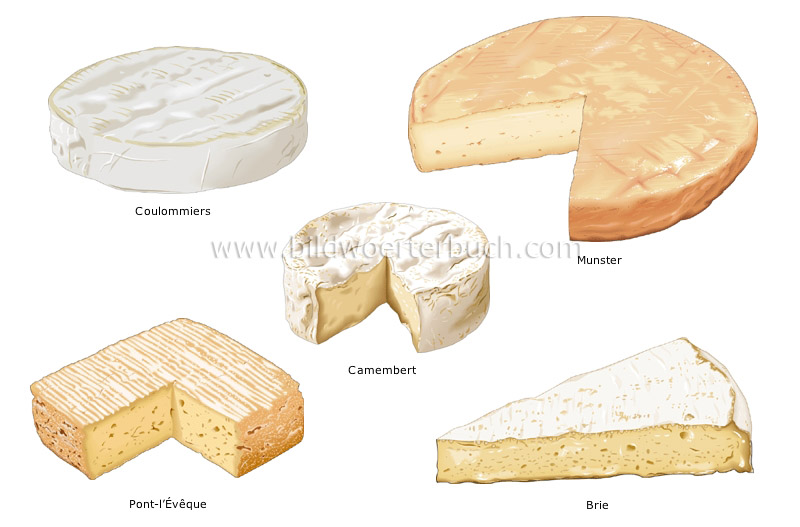 soft cheeses image