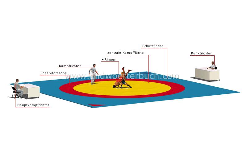 Wettkampffläche Bild