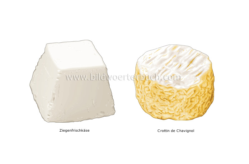 goat’s-milk cheeses image