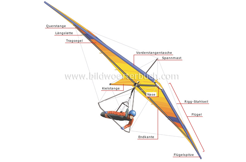 Flugdrachen Bild